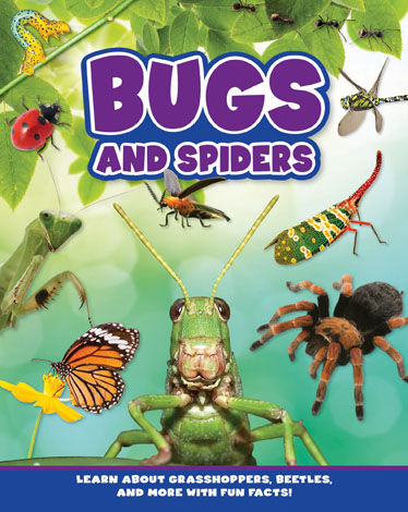 Cover of Bugs and Spiders
