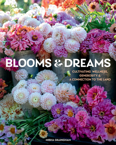 Cover of Blooms & Dreams