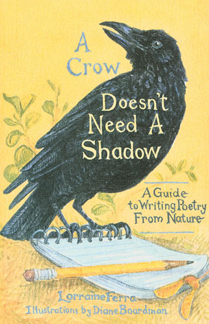 Cover of A Crow Doesn't Need a Shadow