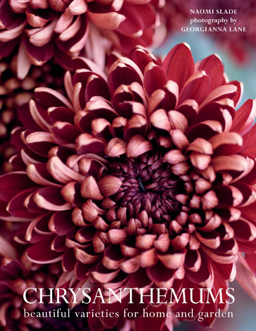Cover of Chrysanthemums