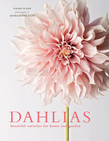 Cover of Dahlias