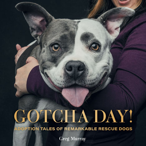 Cover of Gotcha Day!