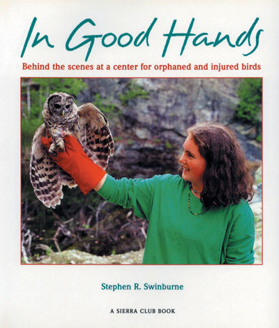 Cover of In Good Hands