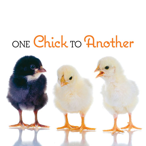 Cover of One Chick to Another 