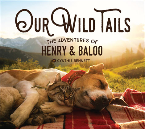 Cover of Our Wild Tails: The Adventures of Henry and Baloo