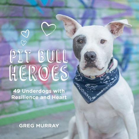 Cover of Pit Bull Heroes