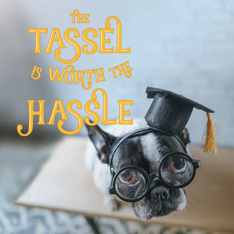 Cover of The Tassel is Worth the Hassle
