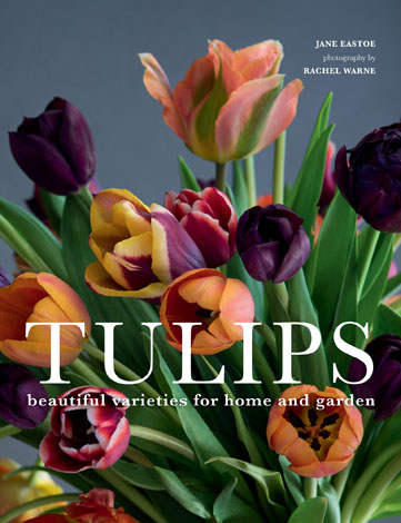 Cover of Tulips