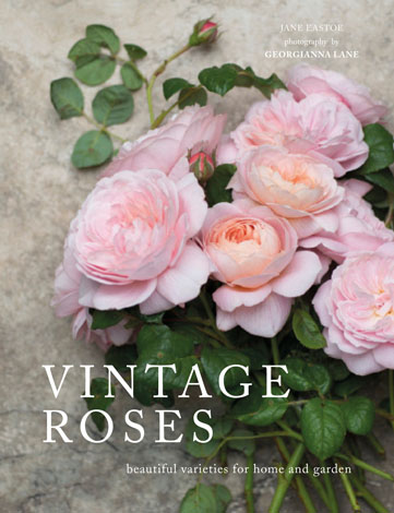 Cover of Vintage Roses