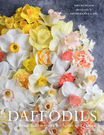 Cover of Daffodils