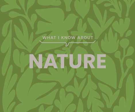 Cover of What I Know About Nature